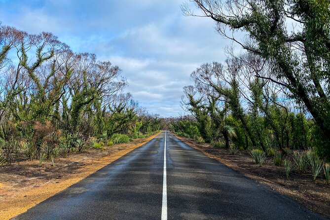 2 day Ultimate Kangaroo Island with return ferry - Value check on $574.51: what you’re really getting