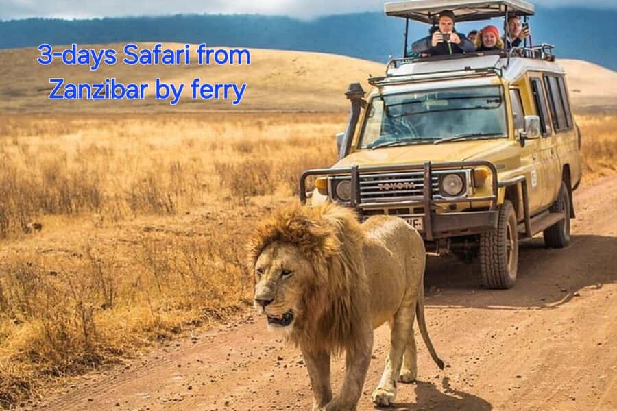 3 DAYS, 2 NIGHTS SAFARI FROM ZANZIBAR TO MIKUMI BY FERRY. - Key things that make this safari work