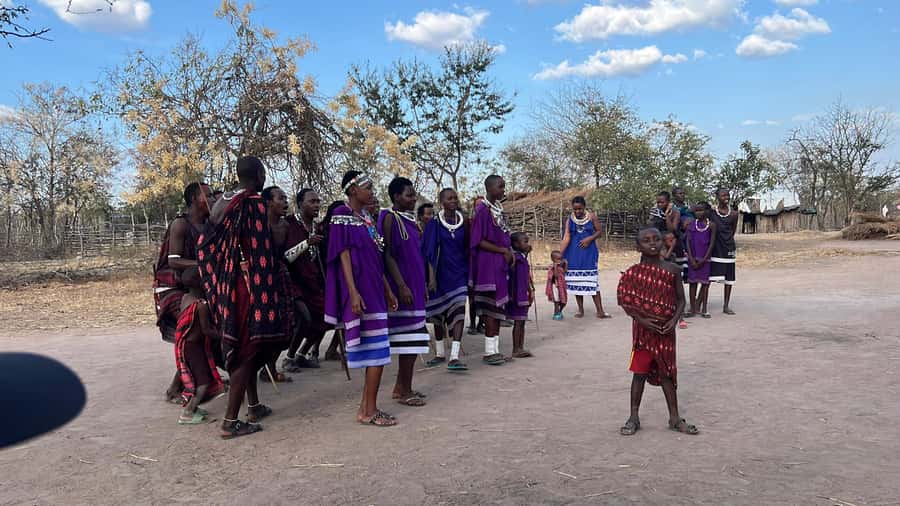 3 DAYS, 2 NIGHTS SAFARI FROM ZANZIBAR TO MIKUMI BY FERRY. - Big 4 in Mikumi: How to set expectations without killing the excitement