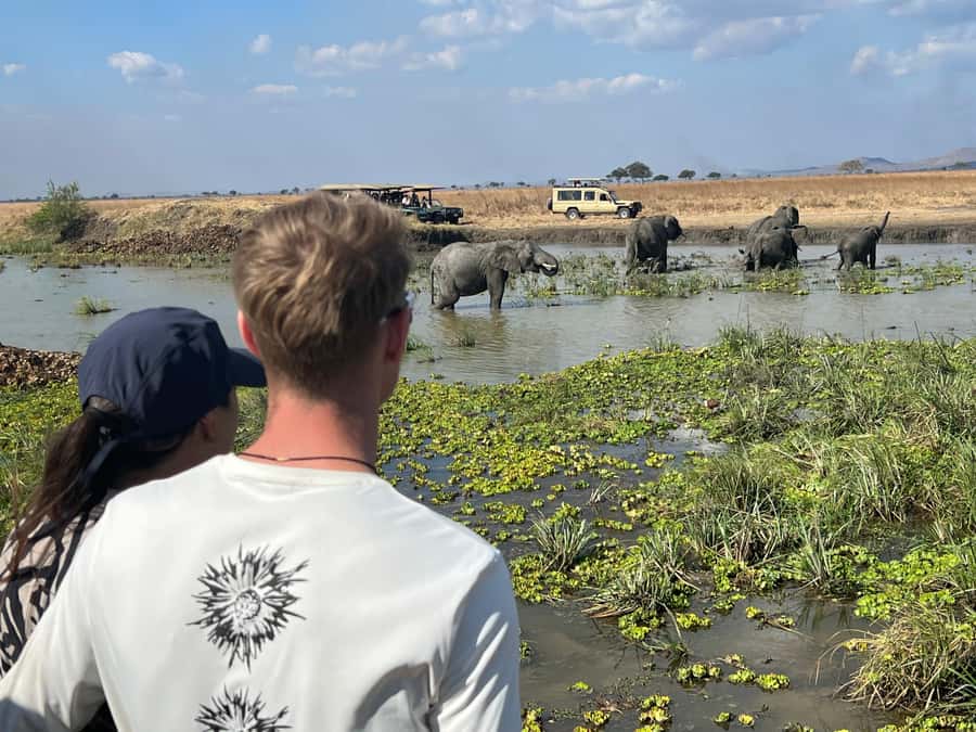 3 DAYS, 2 NIGHTS SAFARI FROM ZANZIBAR TO MIKUMI BY FERRY. - Should you book this Zanzibar to Mikumi safari?