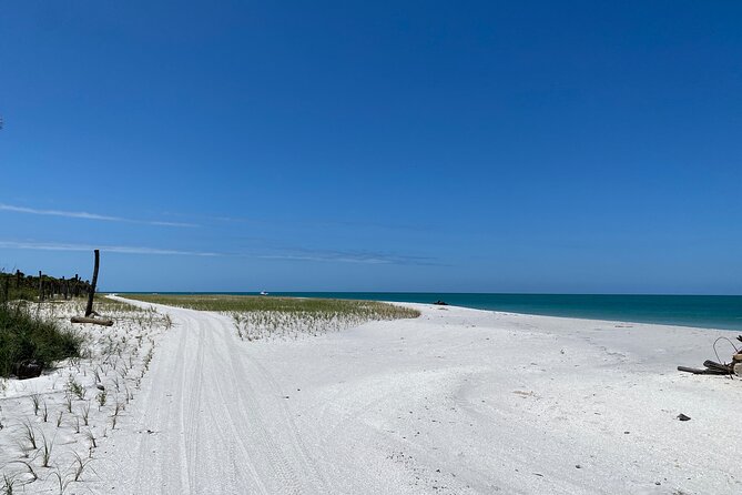 4-Hour St. Pete Pier to Egmont Key Experience by Ferry - Time Management: How the 4 Hours Actually Works