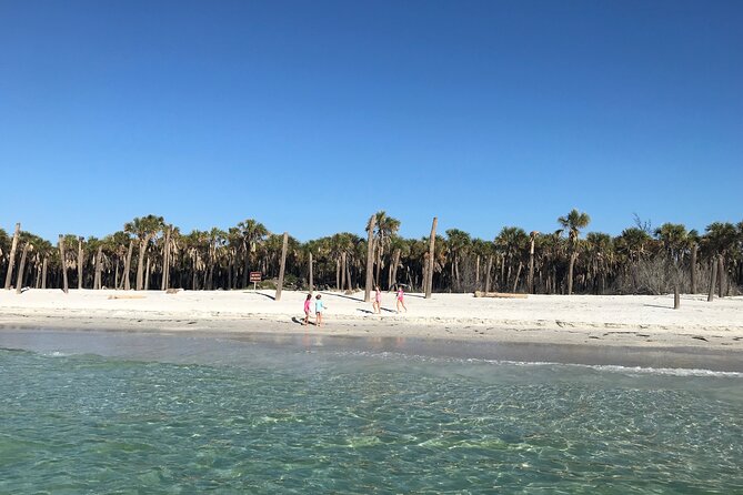 4-Hour St. Pete Pier to Egmont Key Experience by Ferry - The Outbound Cruise: St. Pete Shorelines, Wildlife Chances, and Bridge Time