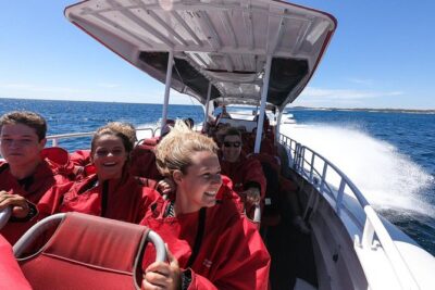 Adventure Rottnest Tour with Ferry & Adventure Cruise - Cathedral Rocks and the seal fix you’ll remember