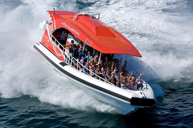 Adventure Rottnest Tour with Ferry & Adventure Cruise - Your afternoon on Rottnest: bikes, quokkas, and beach time that’s yours