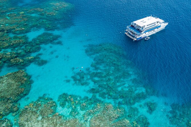 Afternoon Fitzroy Island Escape – Return Ferry Included - Nudey Beach Coral Sand: The Signature Stop That’s Worth Planning For
