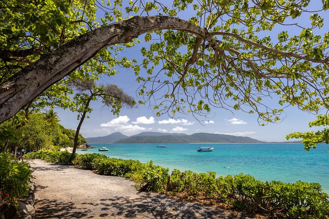 Afternoon Fitzroy Island Escape – Return Ferry Included - Snorkeling Opportunities: How to Get the Most From Limited Time