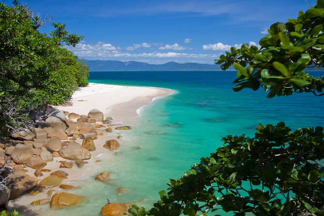 Afternoon Fitzroy Island Escape – Return Ferry Included - Fitzroy Island National Park: Where Trails and Reef Time Meet