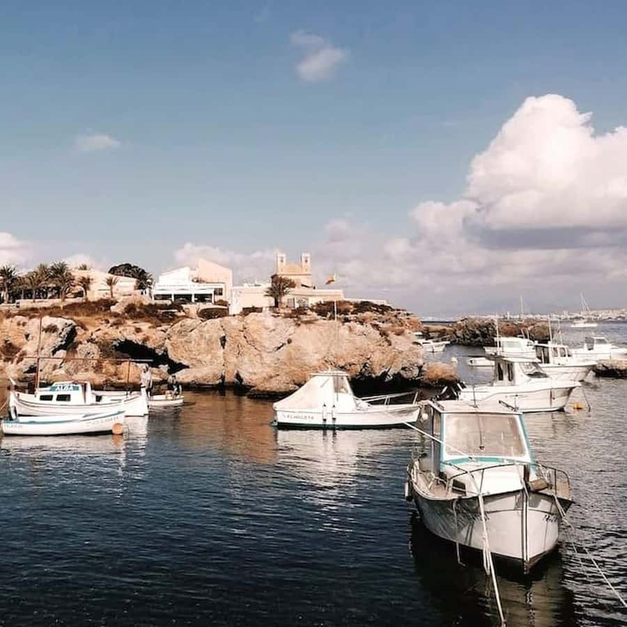 Alicante/Torrevieja: Excursion to Tabarca by ferry, Santa Pola, and Laguna Rosa - Key points you’ll actually care about