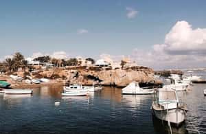 Alicante/Torrevieja: Excursion to Tabarca by ferry, Santa Pola, and Laguna Rosa - The full day rhythm: buses, ferries, and where time really goes