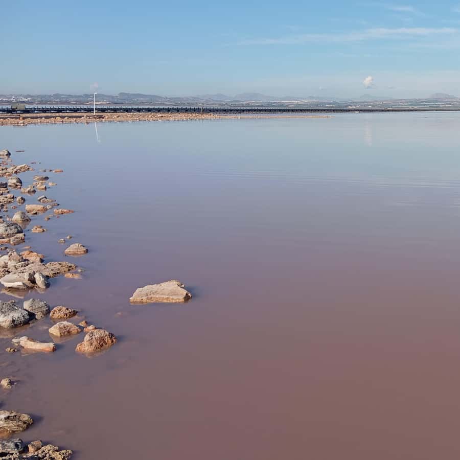 Alicante/Torrevieja: Excursion to Tabarca by ferry, Santa Pola, and Laguna Rosa - Who should book this day trip—and who should skip it