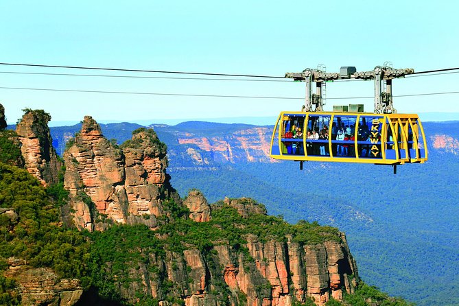 All Inclusive Blue Mountain,Scenic World,Lunch,Koalas,ferry - Quick hits before you go