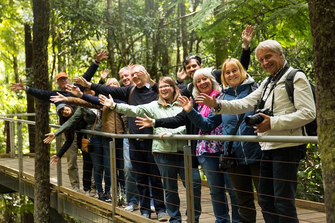 All Inclusive Blue Mountain,Scenic World,Lunch,Koalas,ferry - Your Blue Mountains day is built like a great itinerary, not just a route