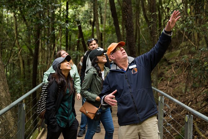 All Inclusive Blue Mountain,Scenic World,Lunch,Koalas,ferry - Three Sisters viewpoints: your first taste of the Blue Mountains