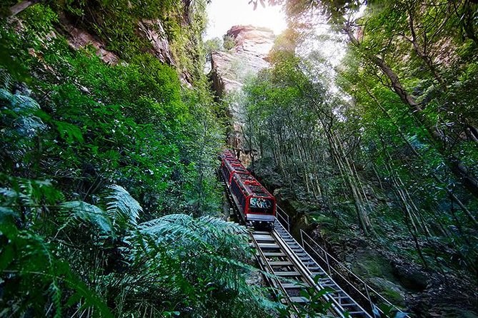 All Inclusive Blue Mountain,Scenic World,Lunch,Koalas,ferry - Featherdale Wildlife Park or Sydney Zoo: koalas and kangaroos, with a tight timebox