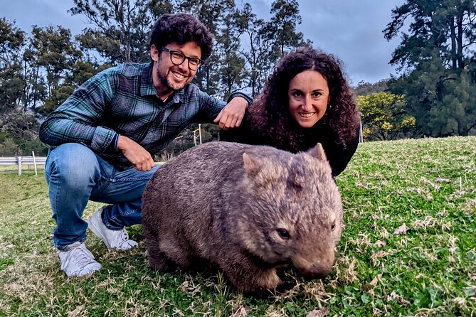 All Inclusive Blue Mountain,Scenic World,Lunch,Koalas,ferry - The Parramatta River ferry return: the day’s nicest reset