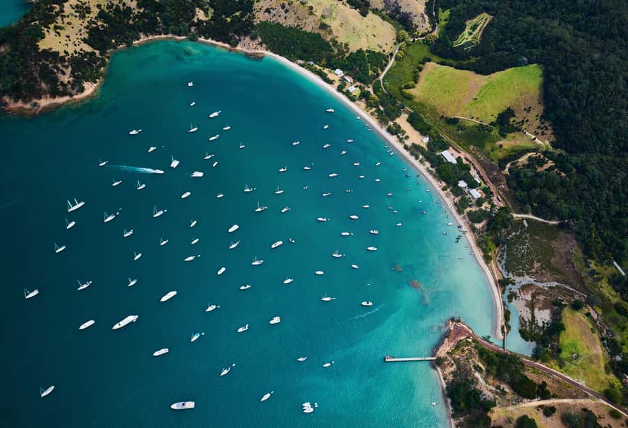 Auckland: Man O' War Vineyard Ferry (Waiheke Island) - Key highlights to notice before you go