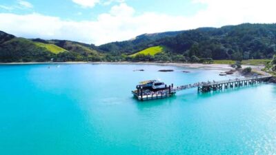Auckland: Man O' War Vineyard Ferry (Waiheke Island) - The cruise to Waiheke: comfort, timing, and the Rotoroa route