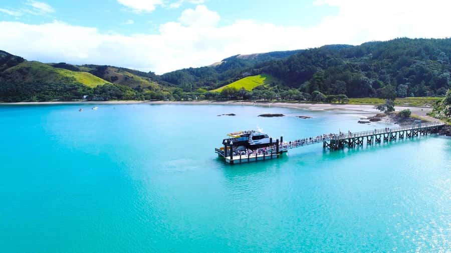 Auckland: Man O' War Vineyard Ferry (Waiheke Island) - The cruise to Waiheke: comfort, timing, and the Rotoroa route