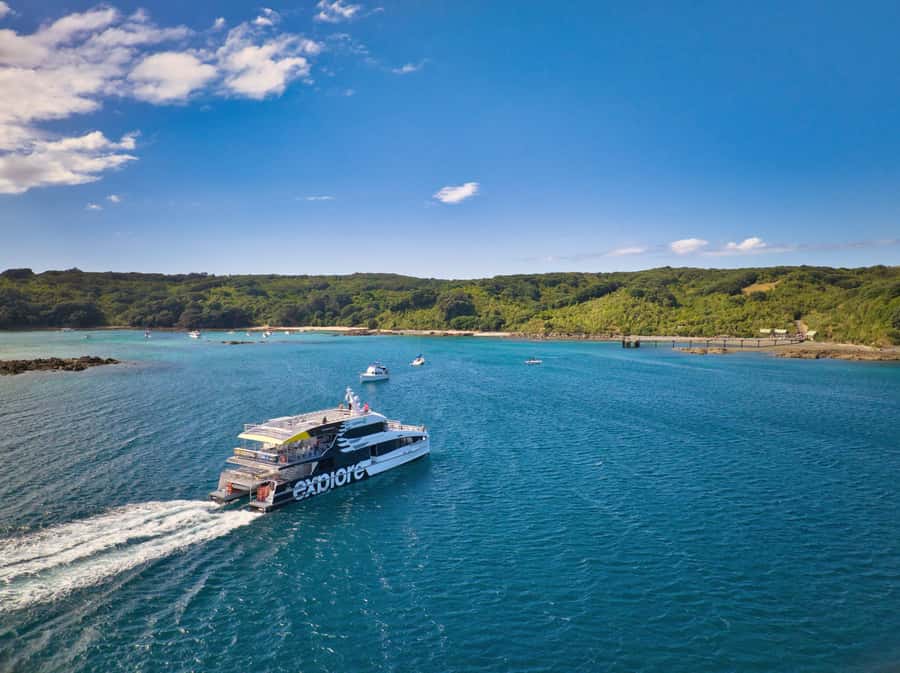 Auckland: Tiritiri Matangi Island Ferry - Hauraki Gulf Cruise: Getting There Makes the Day