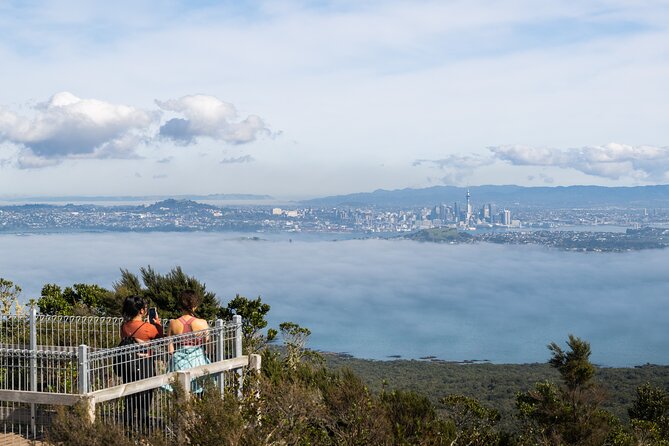 Auckland to Rangitoto Island Ferry - Key Highlights You’ll Actually Notice
