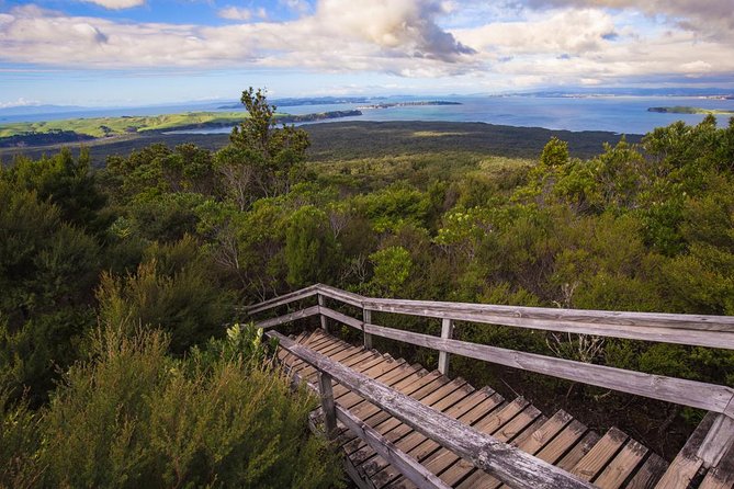 Auckland to Rangitoto Island Ferry - Rangitoto: A Real Volcano Day Trip from Auckland