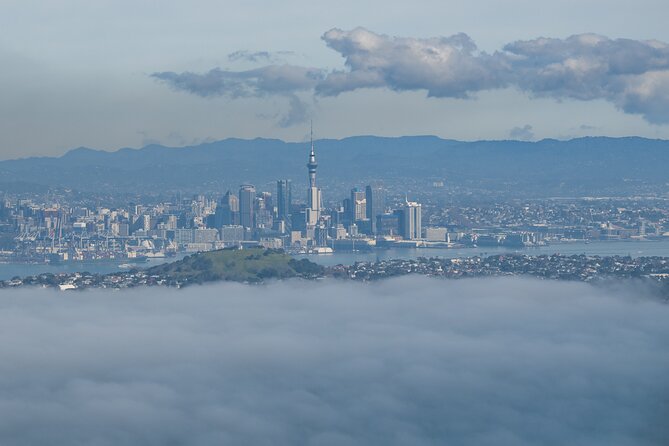 Auckland to Rangitoto Island Ferry - Getting to the Island: Quay Street to Rangitoto in One Move