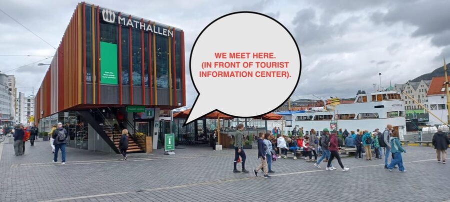 Bergen: Sightseeing Walking Tour with Ferry Ride - The ferry ride: Bergen from the fjord side, like you actually understand the city