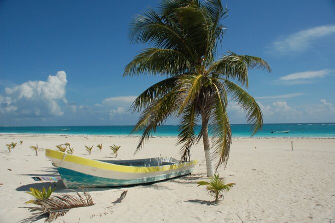 Bimini or Grand Bahama Island by Ferry - On the ferry: comfort, snacks, and group size