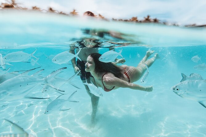 Bimini or Grand Bahama Island by Ferry - Price and value: what $225 buys (and what it doesn’t)