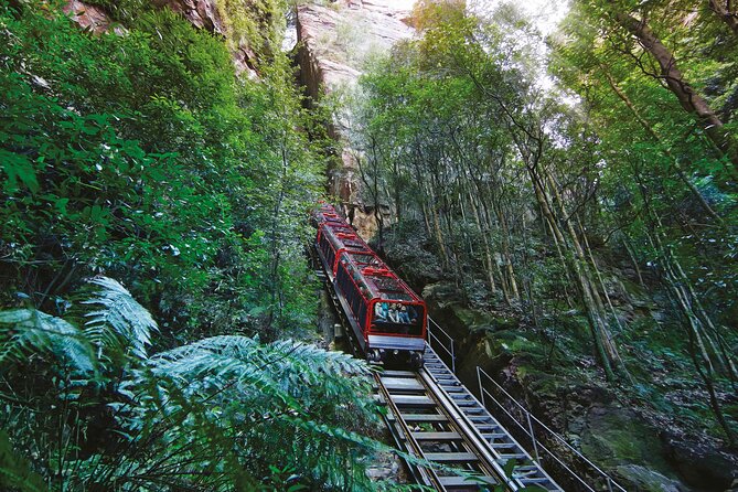 Blue Mountains Adventure w Scenic World, Zoo, Koala Photo & Ferry - Key Highlights at a Glance