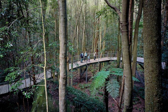 Blue Mountains Adventure w Scenic World, Zoo, Koala Photo & Ferry - Why This Blue Mountains + Zoo + Ferry Day Works So Well