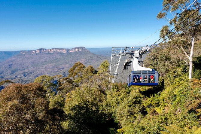 Blue Mountains Adventure w Scenic World, Zoo, Koala Photo & Ferry - Scenic World Blue Mountains: Three Rides and a Rainforest Walk