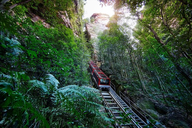 Blue Mountains Small-Group Tour from Sydney with Scenic World,Sydney Zoo & Ferry - Key things to know before you go