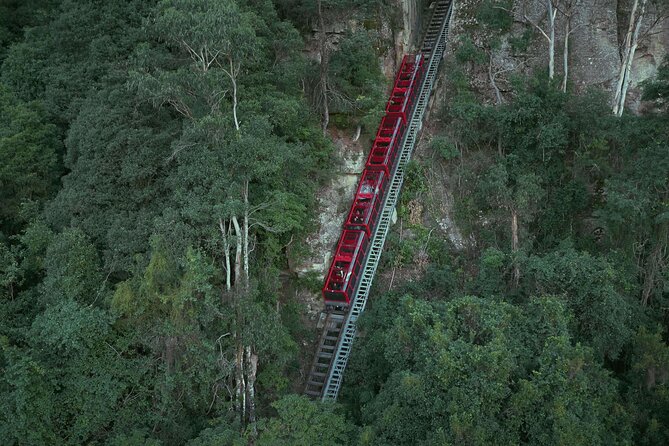 Blue Mountains Small-Group Tour from Sydney with Scenic World,Sydney Zoo & Ferry - Getting out of Sydney early (and why it matters)