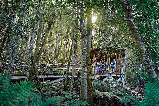 Blue Mountains Small-Group Tour from Sydney with Scenic World,Sydney Zoo & Ferry - Jamison and Megalong Valley views, plus a village break