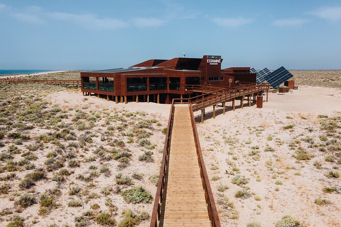 Boat trip from Faro to Ilha Deserta by Ferry - Price and value: why about $12 can still feel worth it