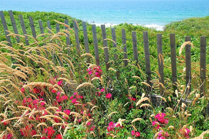 Boston to Martha's Vineyard Day Trip with Optional Island Tour - Price and value: is $129 worth it, and when does the upgrade pay off?