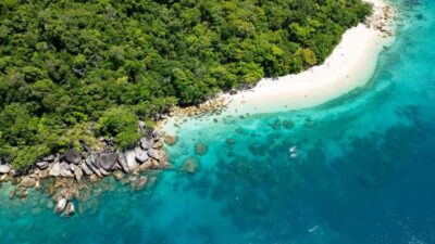 Cairns: Fitzroy Island Ferry, optional lunch, tours, snorkel - Cairns check-in and timing: the one place you can’t be casual
