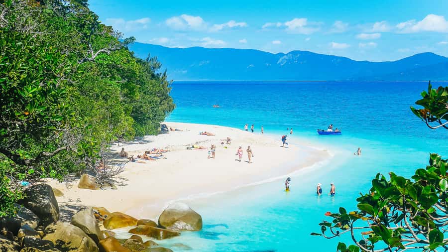 Cairns: Fitzroy Island Ferry with Optional Lunch & Activity - Getting to the day: Sunlover check-in, timing, and the ferry reality