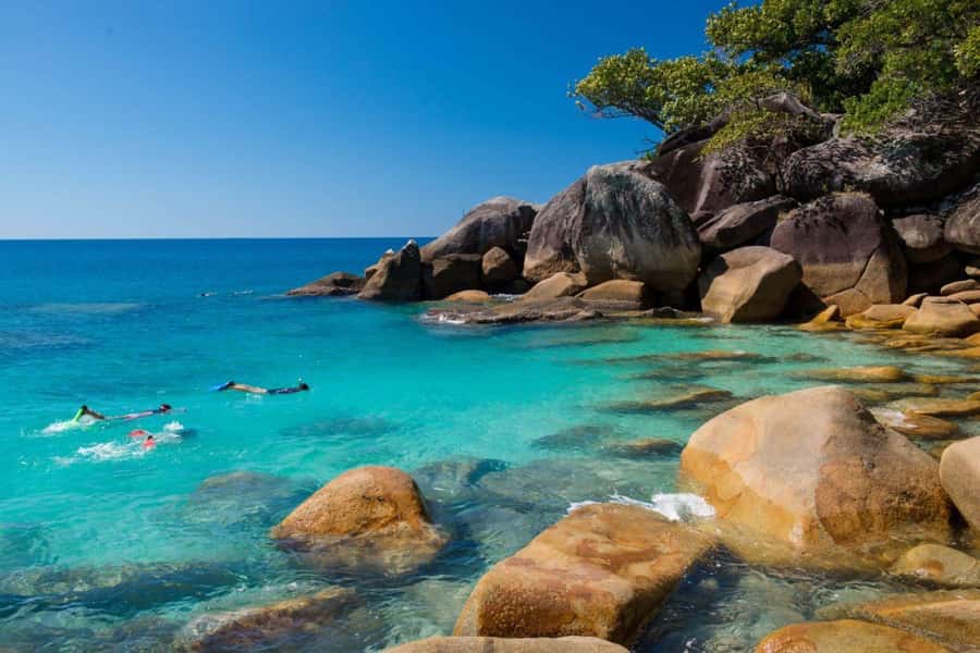 Cairns: Fitzroy Island Ferry with Optional Lunch & Activity - Fitzroy Island: using your 4.5 hours like a pro