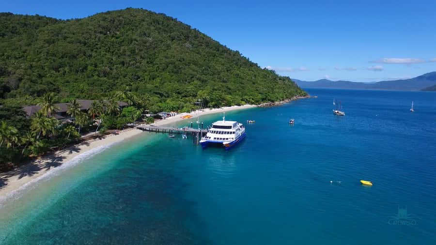 Cairns: Fitzroy Island Ferry with Optional Lunch & Activity - Snorkelling right off the beach and choosing your reef level