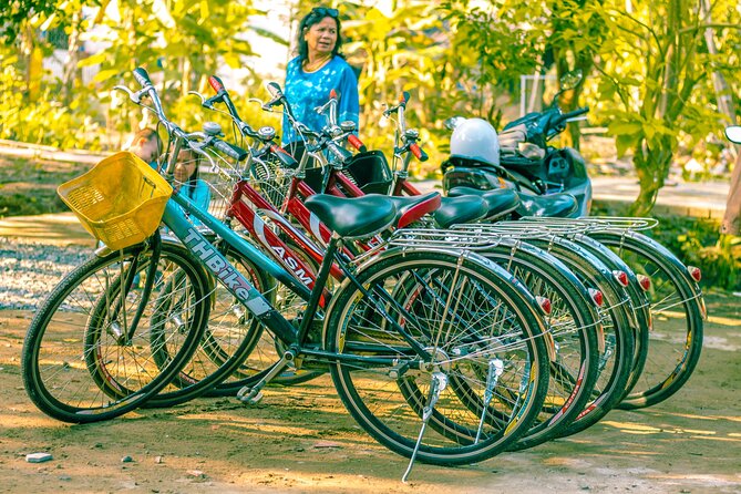 Can Tho: Cycling in Village-Fruit Garden-Experience Local Ferry - First impressions: what this Can Tho bike tour gets right
