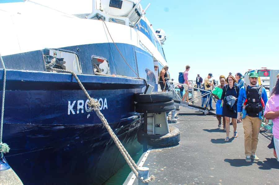 Cape Town: Robben Island ferry ticket plus Guided Tour - Museum stops that turn into real places: leprosy graveyard, quarry, Sobukwe’s house