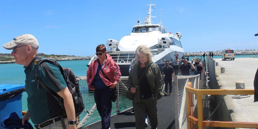 Cape Town: Robben Island ferry ticket with guided tour - Price ($74) and whether it’s good value for Robben Island