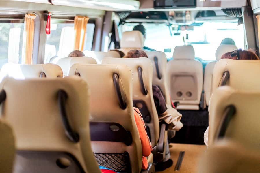 Cape Town: Robben Island Ferry Tour with 1-Way Hotel Pickup - Timing and Waiting: What to Expect Inside a Real Ferry-Day Schedule