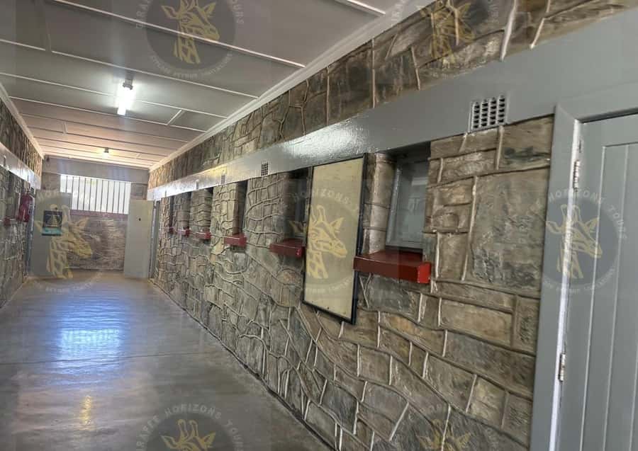 Cape Town: Robben Island Ferry with Prison Ticket and Tour - Getting to Robben Island: The V&A Waterfront ferry and Nelson Mandela Gateway timing