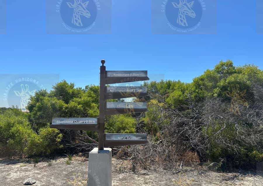 Cape Town: Robben Island Ferry with Prison Ticket and Tour - Should you book this Robben Island prison tour?