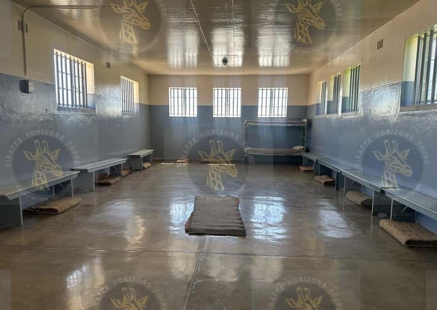 Cape Town: Robben Island Ferry with Prison Ticket and Tour - Return ferry and Cape Town reflection: Views that hit differently after the prison