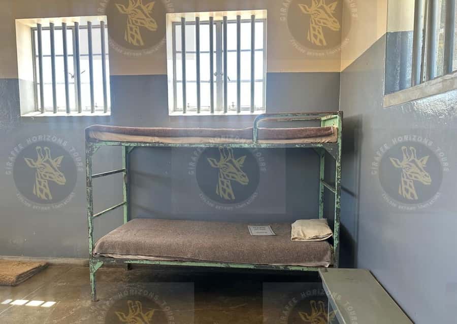 Cape Town: Robben Island Ferry with Prison Ticket and Tour - Price and value: Is $90 per person worth it?