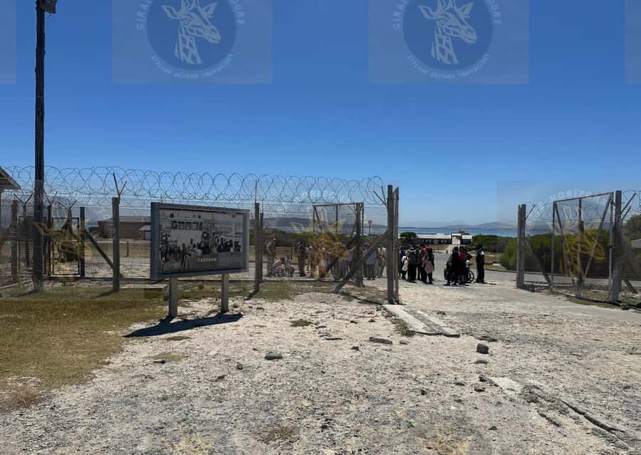 Cape Town: Robben Island Ferry with Prison Ticket and Tour - Who this tour suits best (and who might want a different pace)